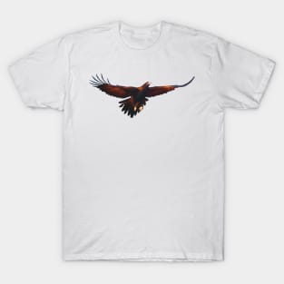 Wedge-tailed Eagle with full wingspan, Beautiful Australian raptor illustration. Bird lovers gift T-Shirt